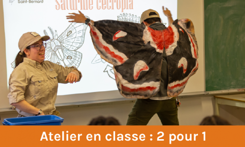 4Plan de travail 1@4x-1007
