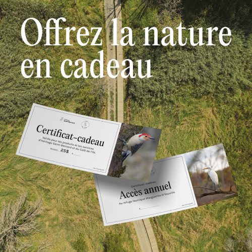 6x6_offrez a nature