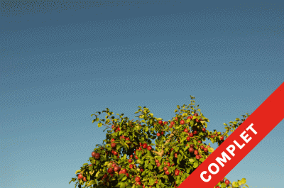 COMPLET-pommesgif