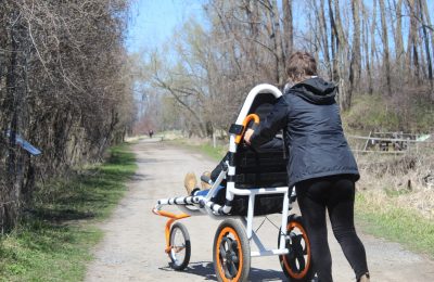 DAHU au refuge faunique