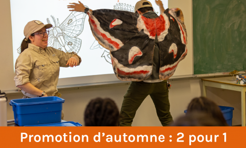 Plan de travail 1@2x47