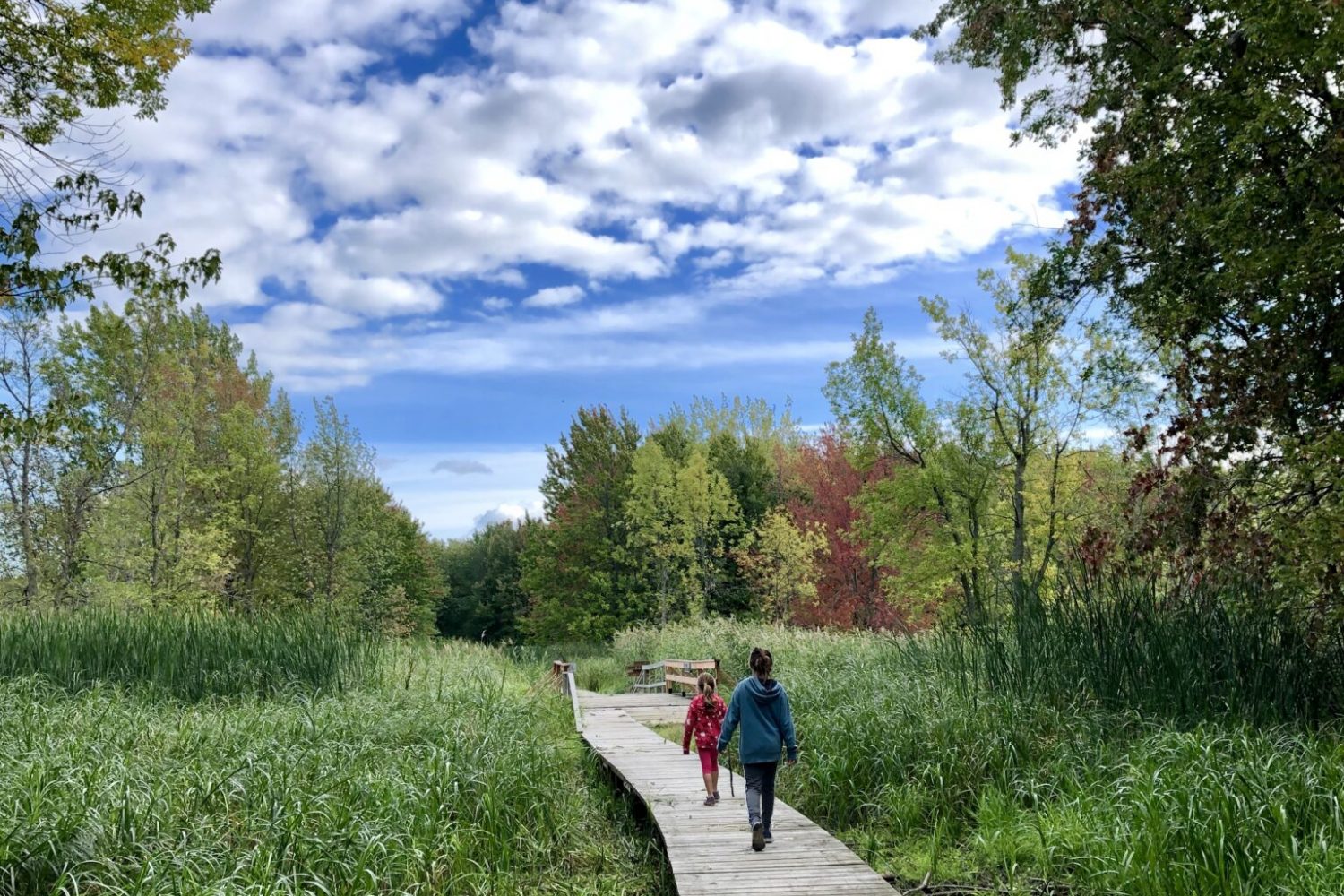 Refuge faunique Marguerite-D'Youville - 2 ©Marie-Hélène Dorais