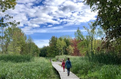 Refuge faunique Marguerite-D'Youville - 2 ©Marie-Hélène Dorais