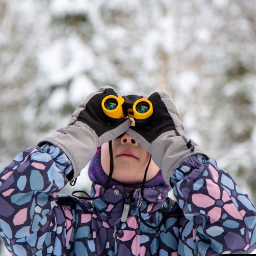 observation-de-la-nature