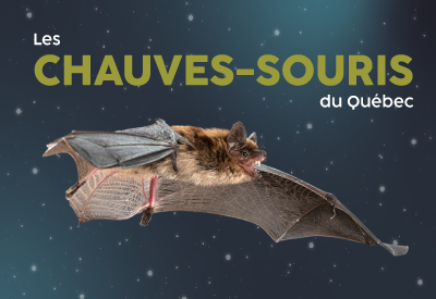 photo-bandeau---Copie