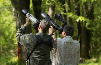 photographes_ornitho_IMG_0016